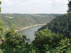 view over Rhinen mod syd fra Loreley