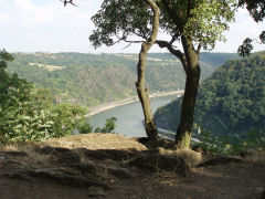 sydlandsk stemning på Loreley